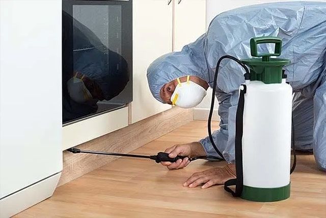 FIN PLAGAS FUMIGACIONES