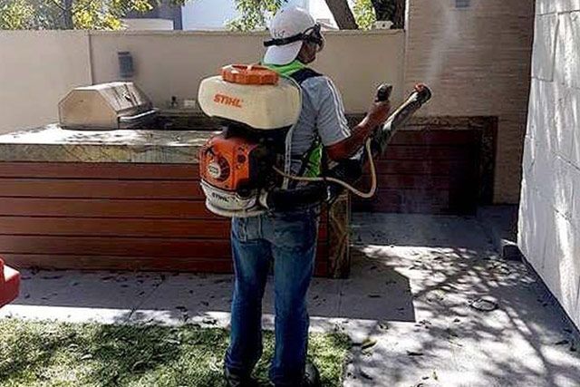 FIN PLAGAS FUMIGACIONES