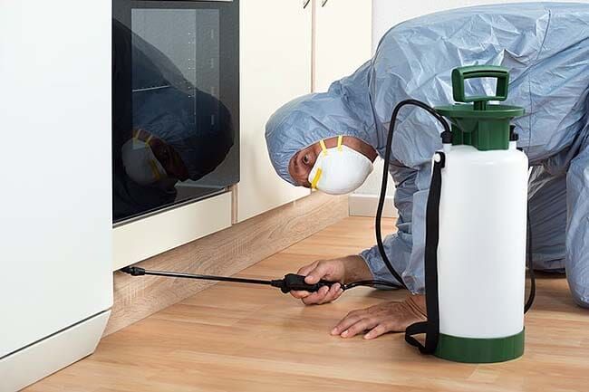 FIN PLAGAS FUMIGACIONES