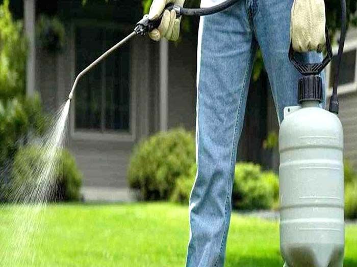 FIN PLAGAS FUMIGACIONES