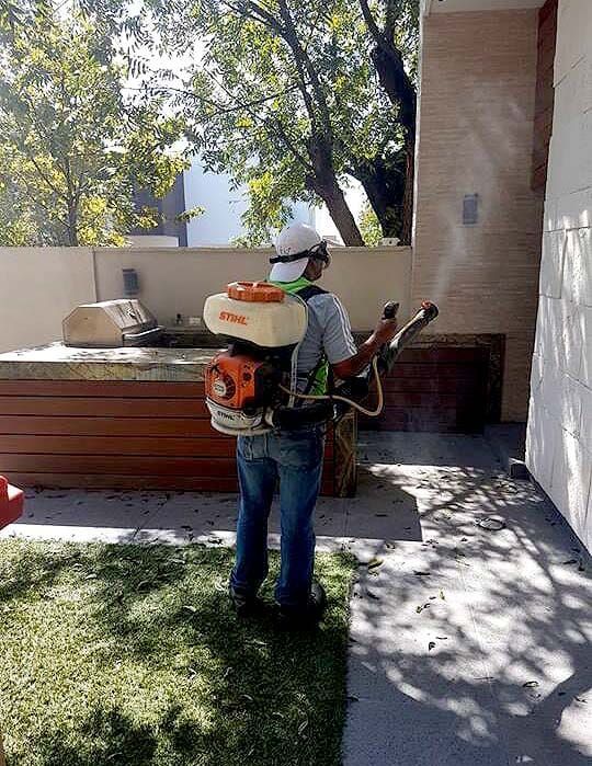 FIN PLAGAS FUMIGACIONES