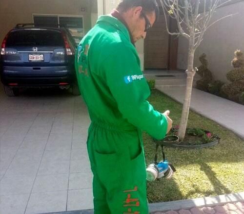 FIN PLAGAS FUMIGACIONES