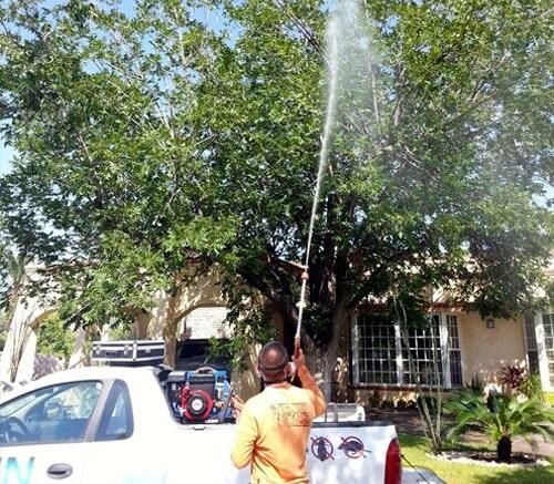 FIN PLAGAS FUMIGACIONES