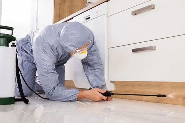 FIN PLAGAS FUMIGACIONES