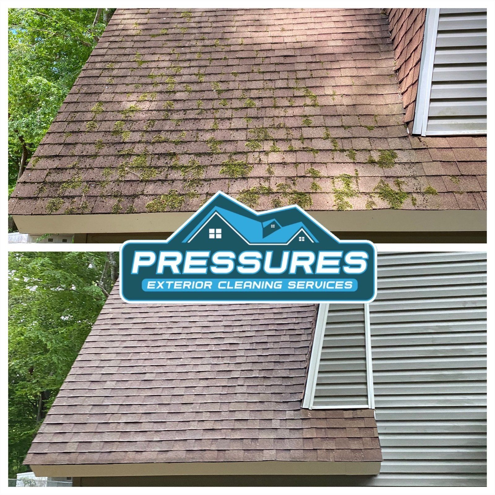 Roof cleaning soft wash Williamsburg va