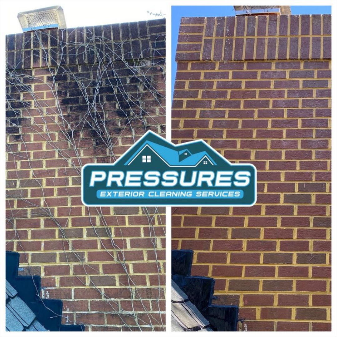 Pressure Washing in Willamsburg Va