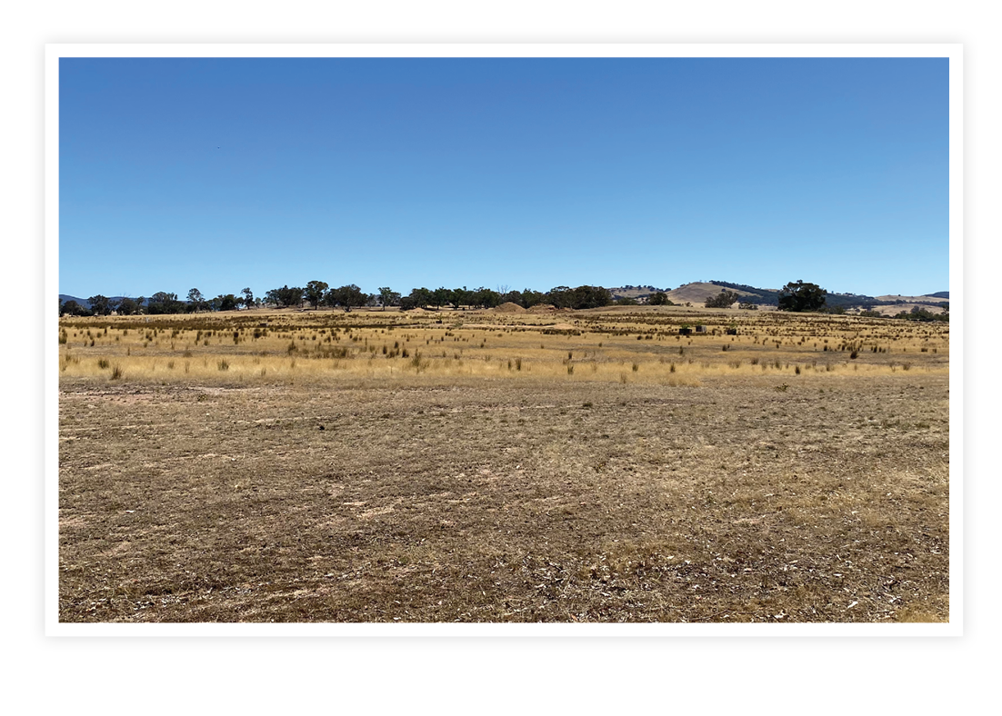 Could this paddock at Bookham possibly be the site of the races?