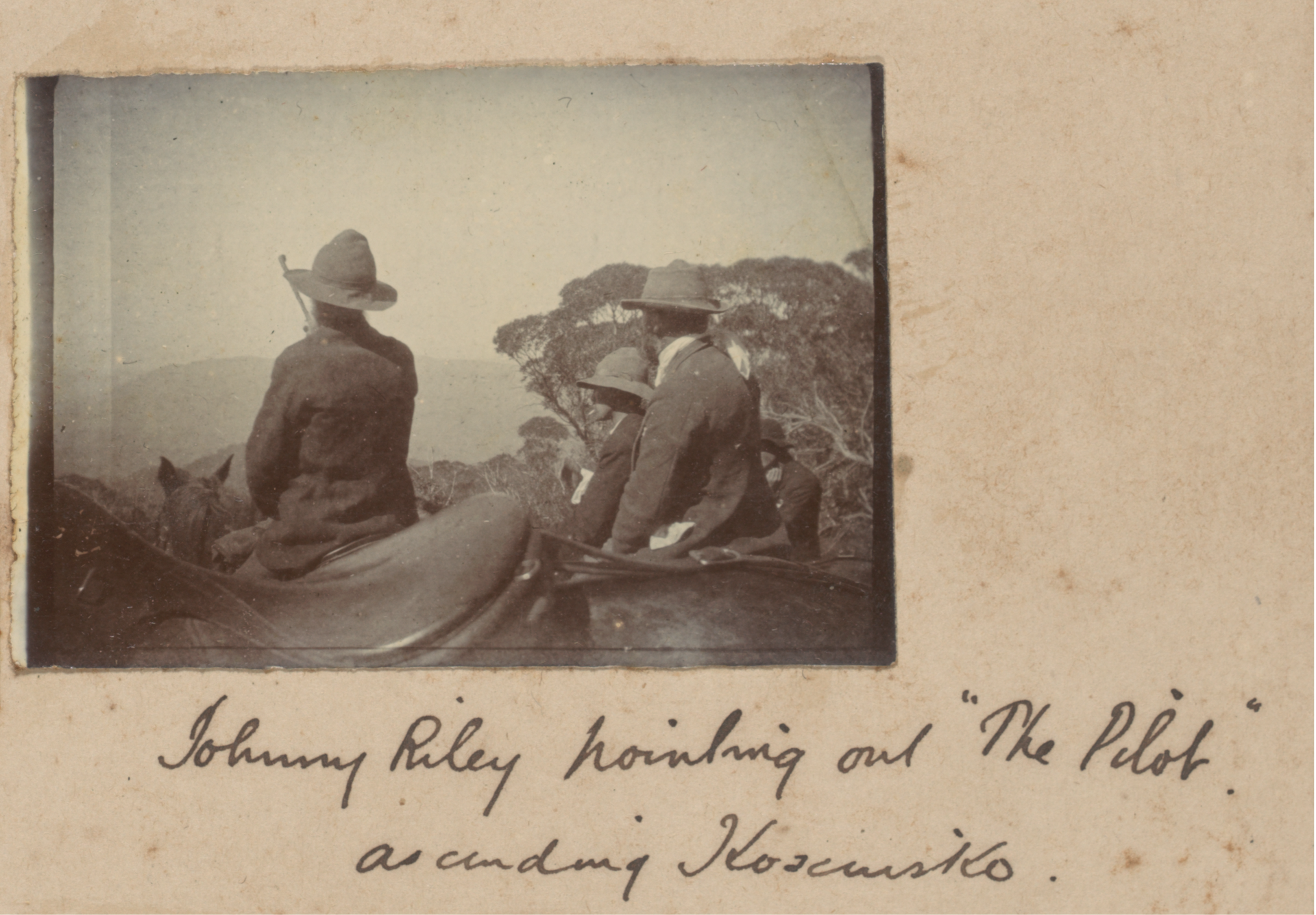 Photograph from the Papers of Andrew Barton ‘Banjo’ Paterson 1807 – 1950 NLA MS10483/10/30/22 
