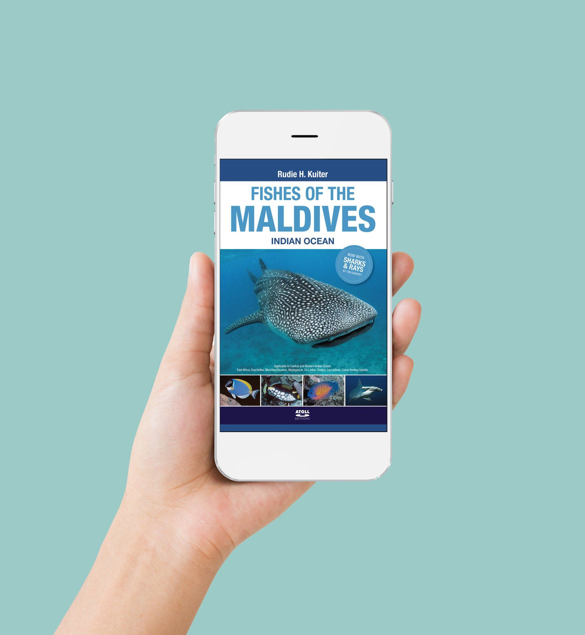 Digital versions of Atoll Edition's latest update to the popular Fishes of the Maldives book. Ebook design & build by Calvert & Co.