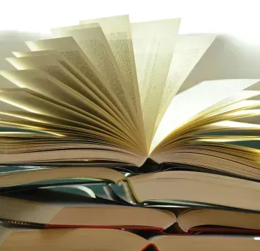 Stack of open books with pages fanned upward in warm sunlight