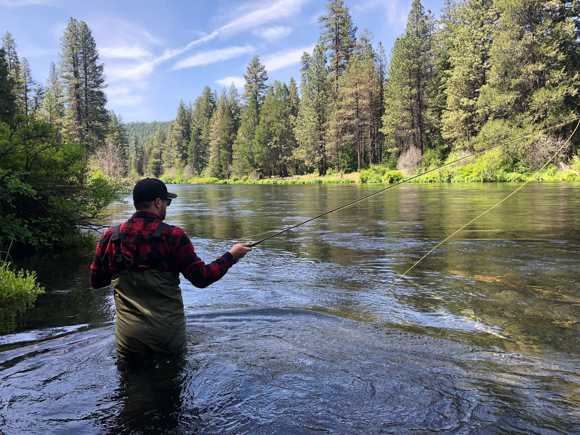 Person in waders fishing in a river surrounded by tall evergreen trees and a clear blue sky