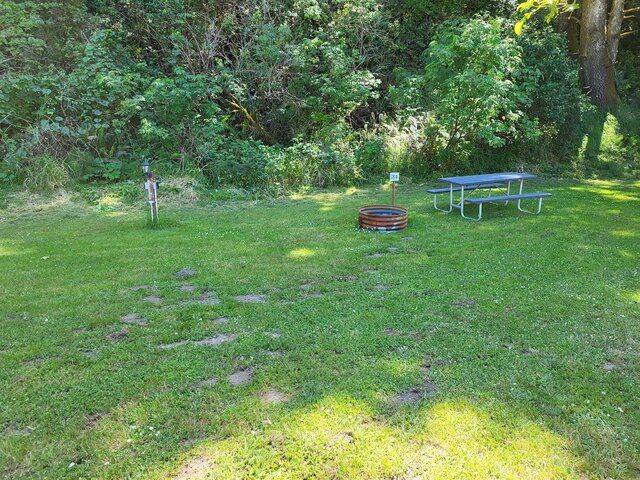 Grassy park clearing with a picnic table, fire pit, and trees in the background