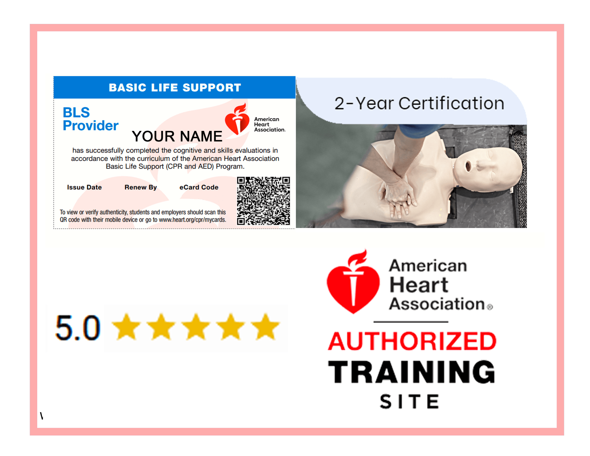 American Heart Association BLS Renewal Course Basic Life Support Program
