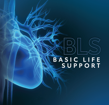 AHA BLS Provider Certification Classes Willow Grove CPR