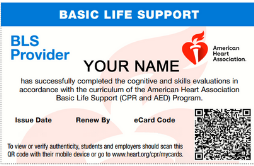 AHA bls certification training American heart association