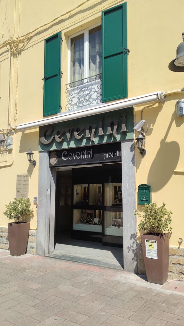 Vetrina con persiane verdi, porta aperta e piante in vaso su una strada soleggiata.