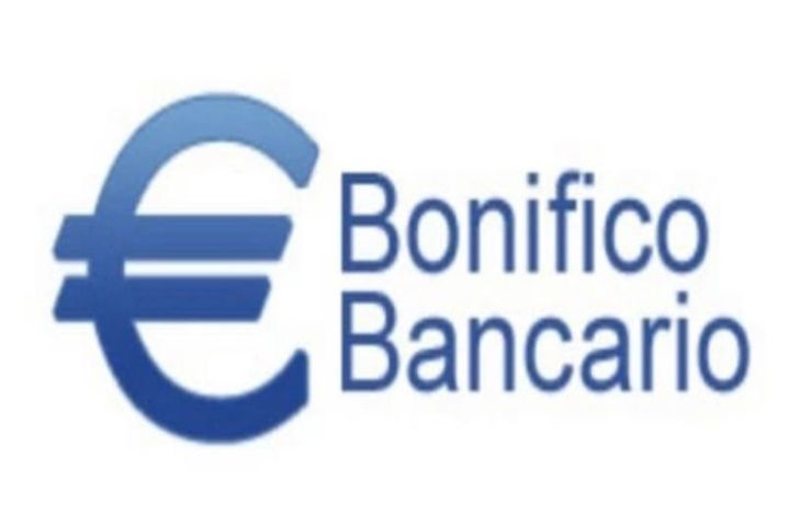 Logo di Bonifico Bancario con simbolo € blu e testo blu su sfondo bianco