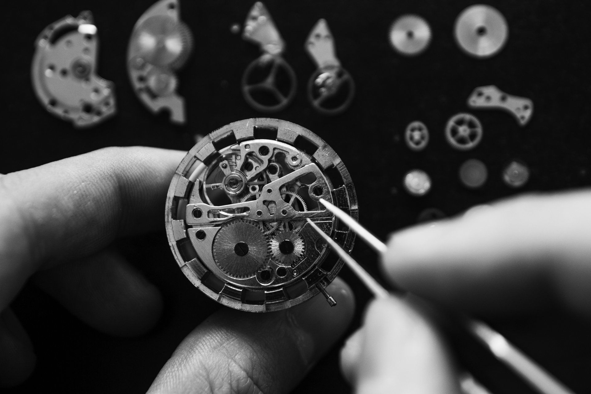 Laboratorio di orologeria