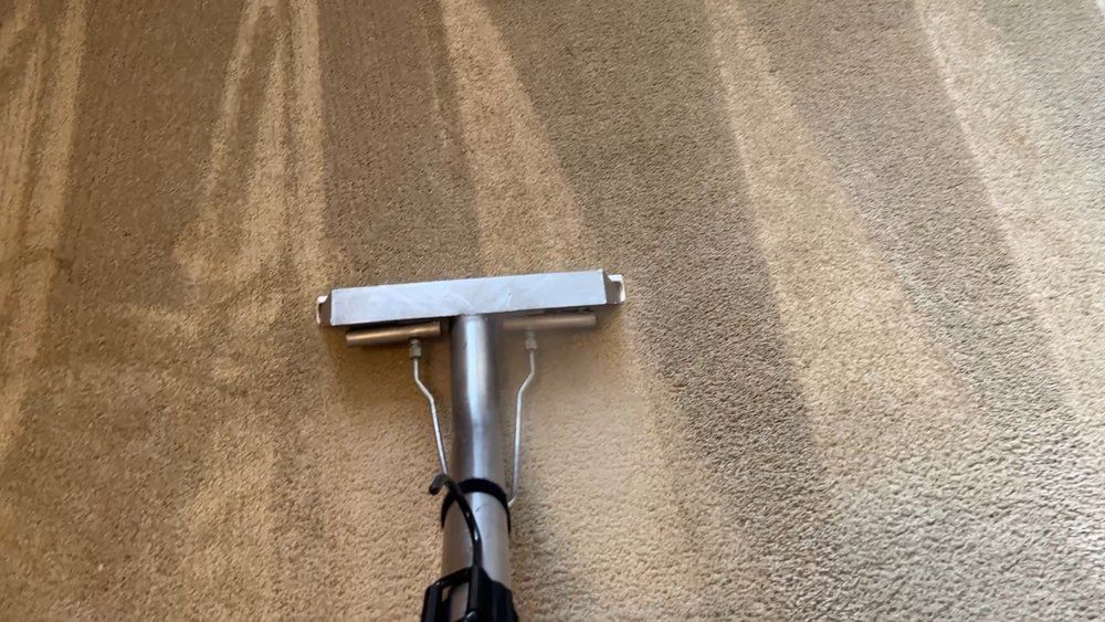 A vacuum cleaner is cleaning a carpet on a wall.