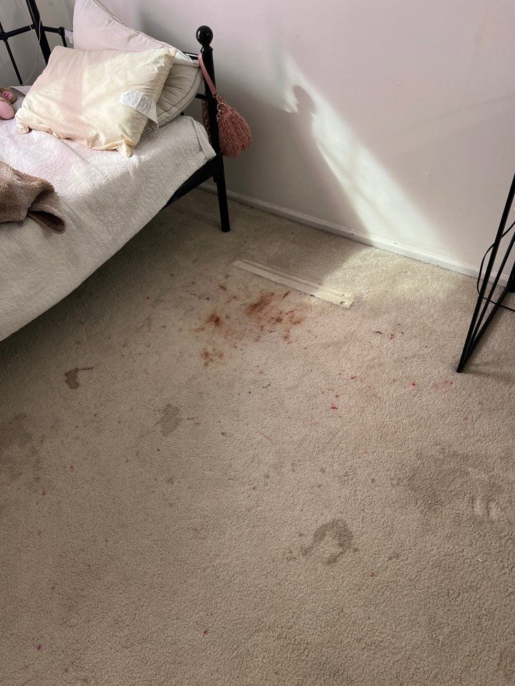 A bedroom with a bed and a dirty carpet.