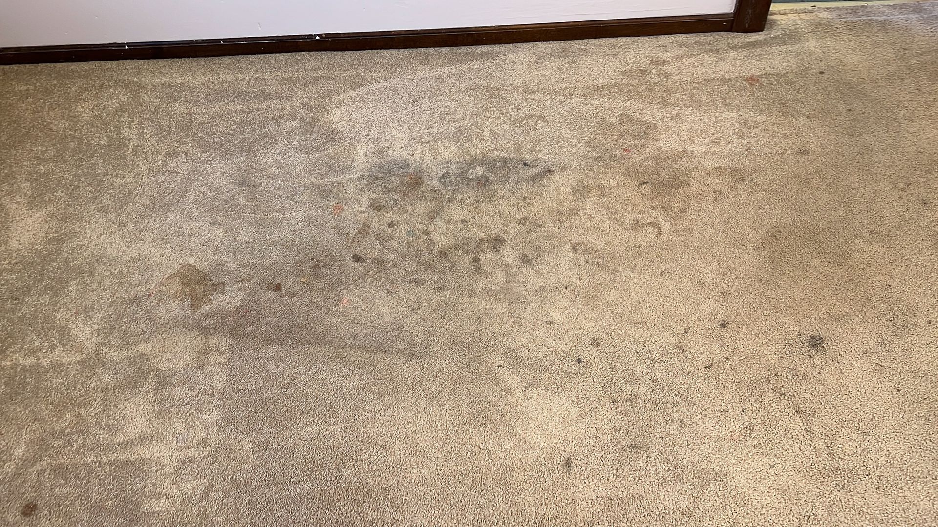 A close up of a dirty carpet in a room.