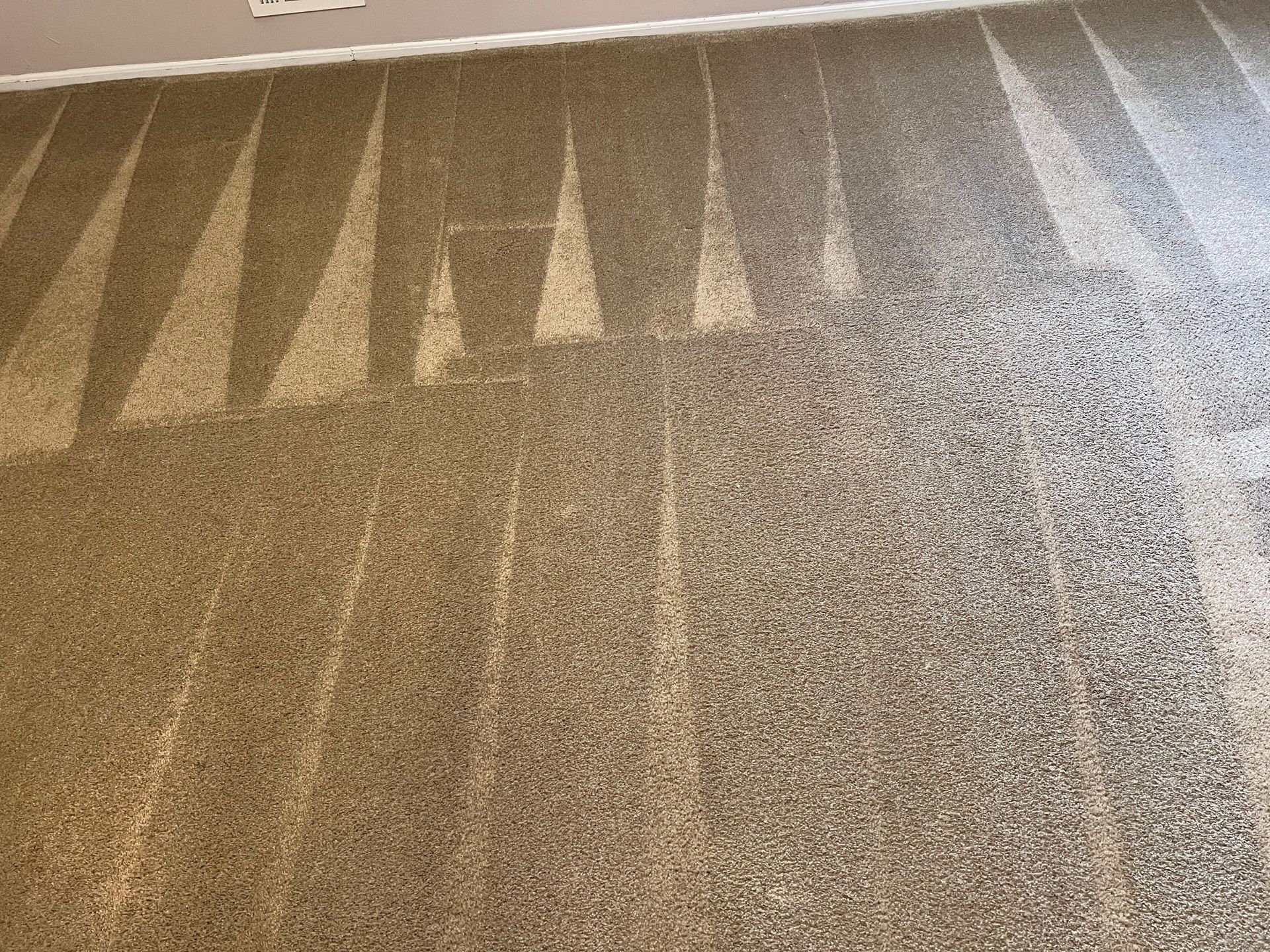 A close up of a carpeted floor in a room.