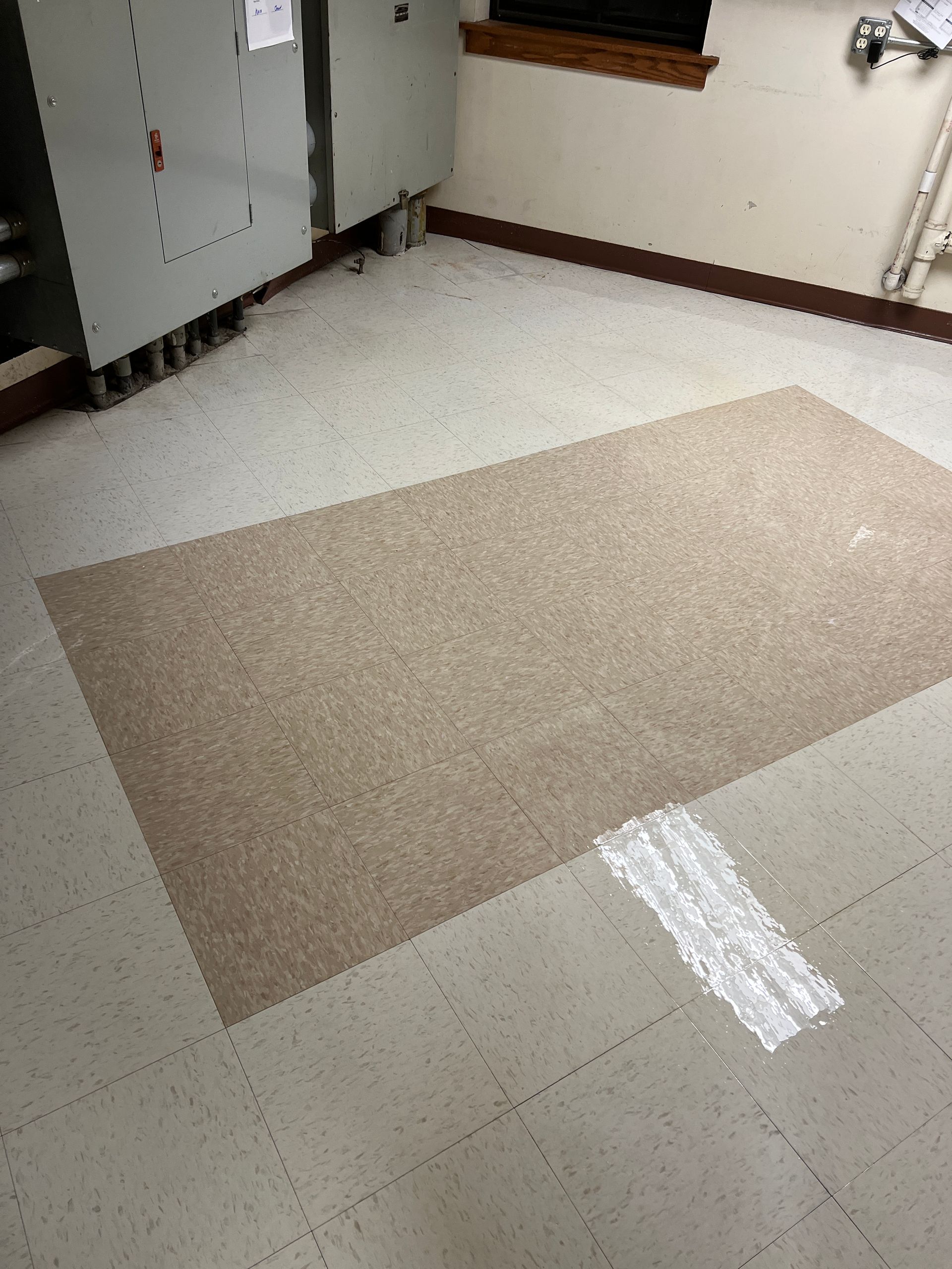 A room with a large rug on the floor