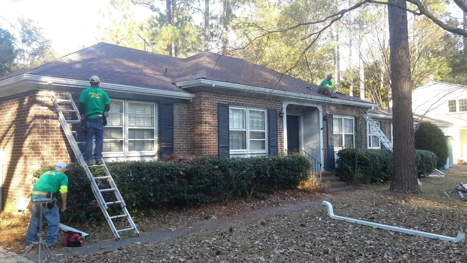 Close-up of a roof's edge with a gray shingle roof and a gutter covered by a black mesh guard.