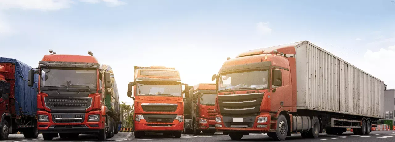 Beneficios de usar TRANSPORTANDO como tu ERP de transporte