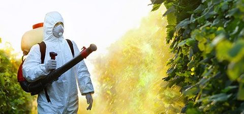 Spraying Insecticide - Pest Control in Auburndale, FL