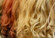 galleryofwigs