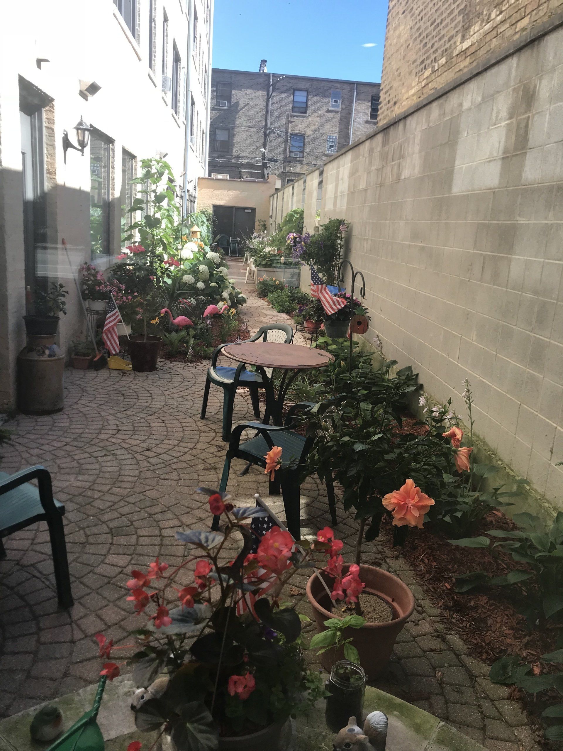 morse senior apartments garden