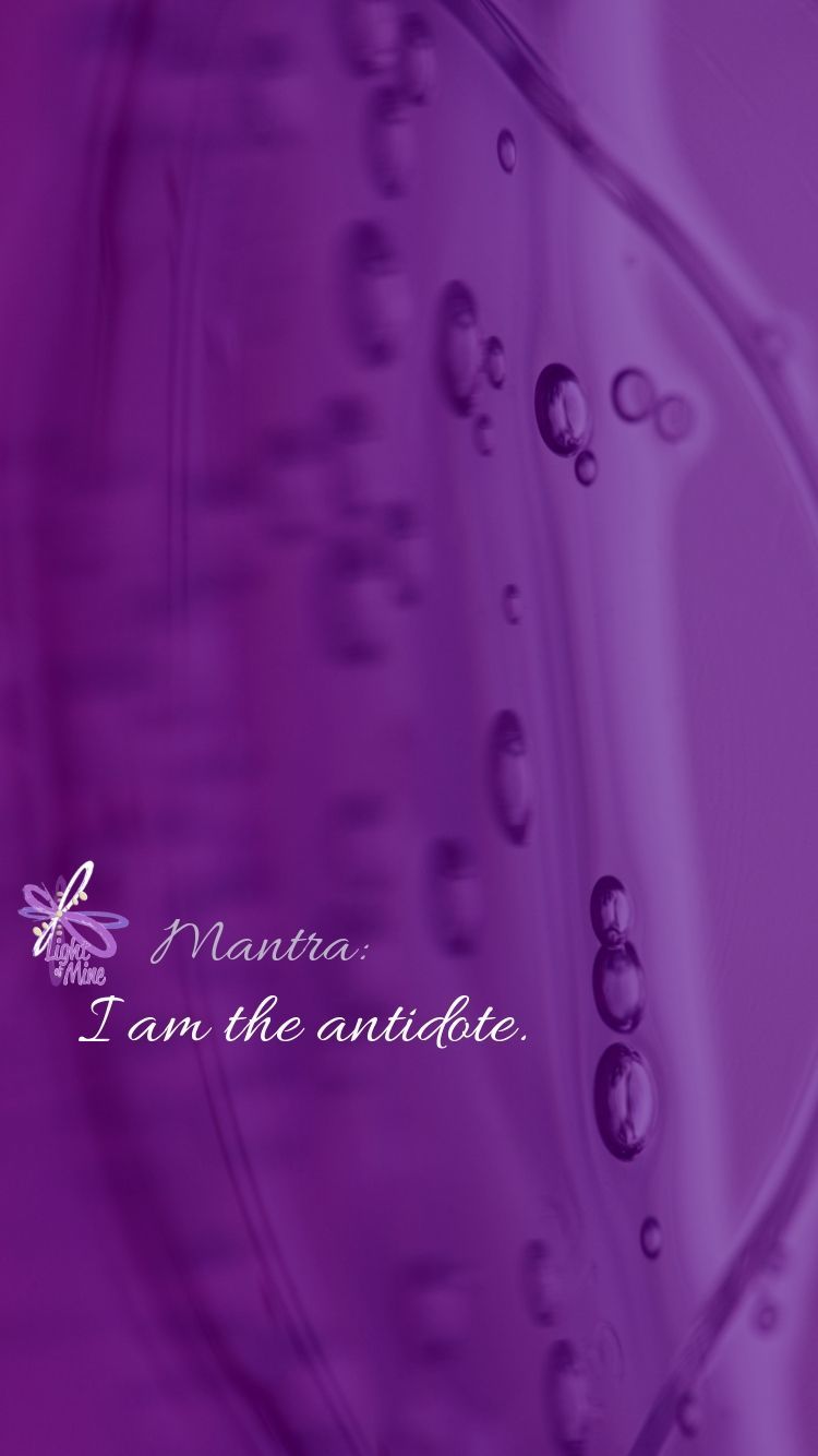 raindrops on purple image