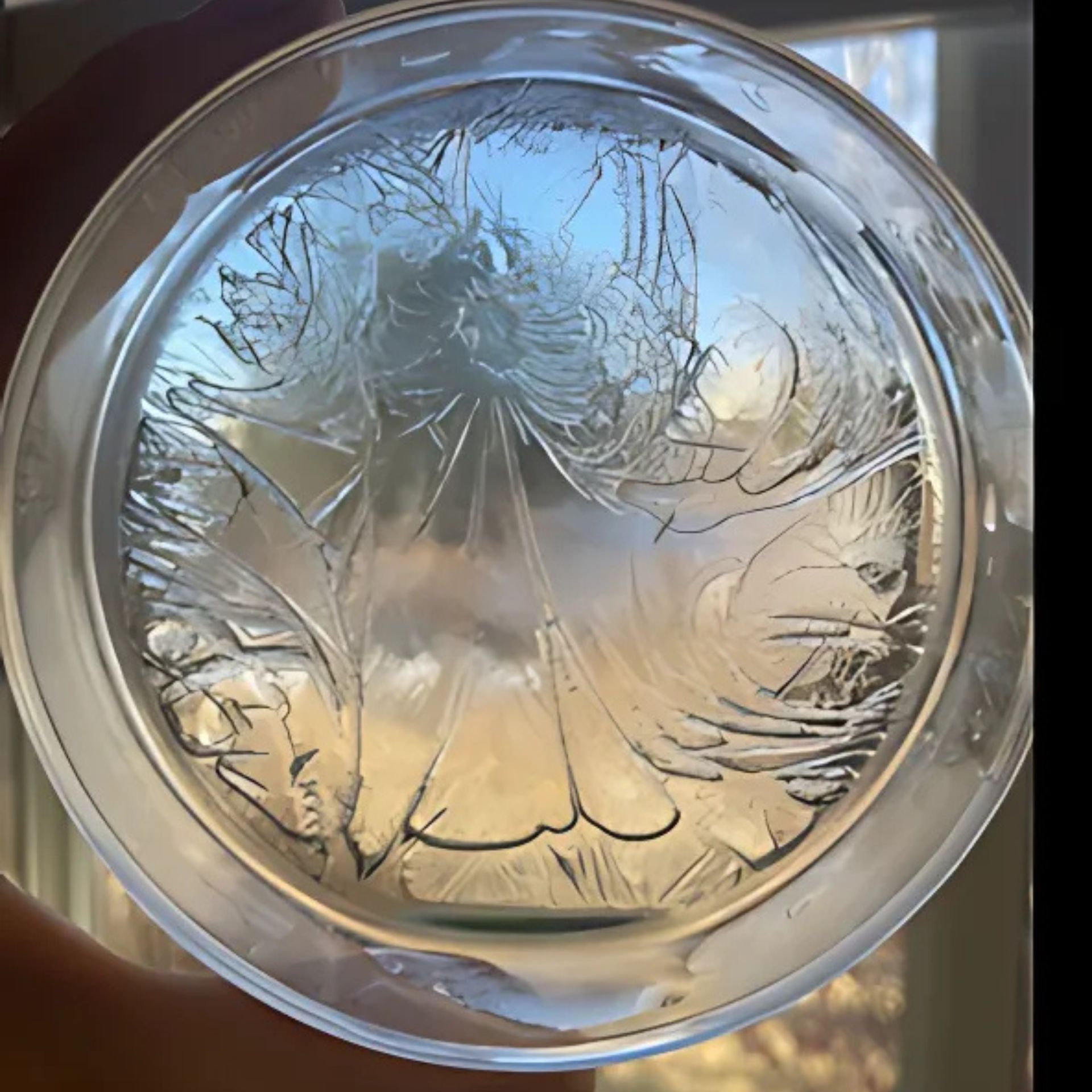 a water crystal formed after asking the water what heaven looked like