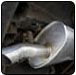 Exhaust pipe, angled stainless steel, mounted on a vehicle. | Quality Car & Truck Repair Inc