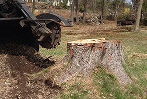 Stump Grinder — Tree Stump Grinding in Lunenburg, MA