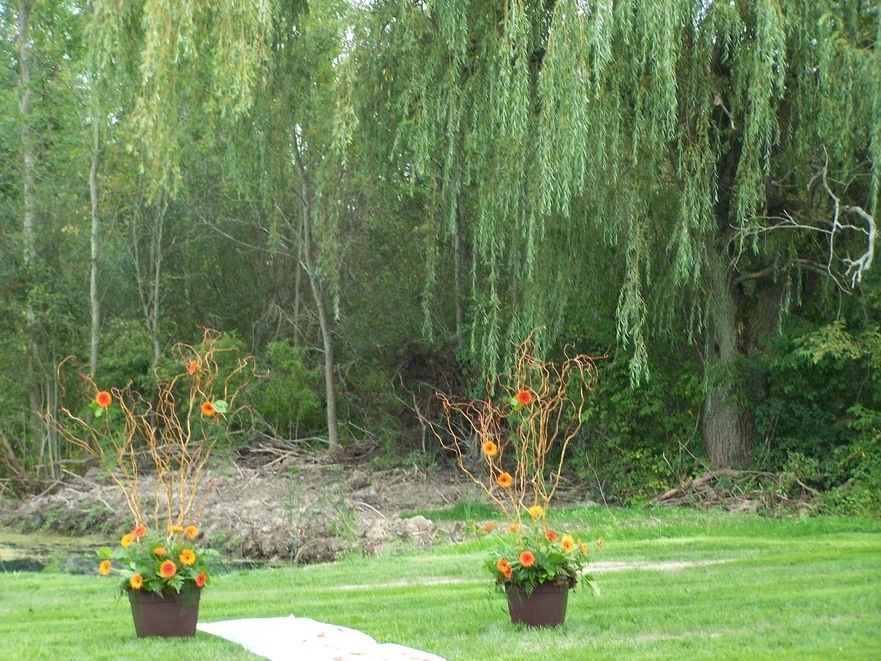 Two pots of flowers are sitting on a path in the grass.