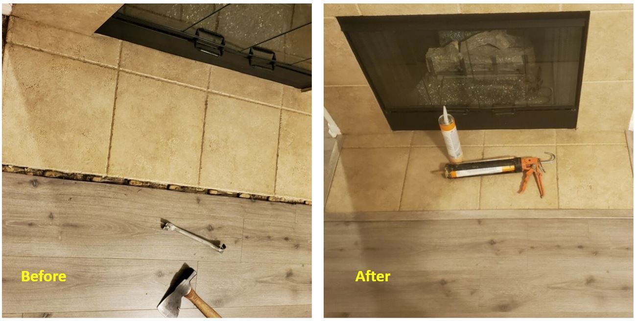 vista flooring repair t Mold
