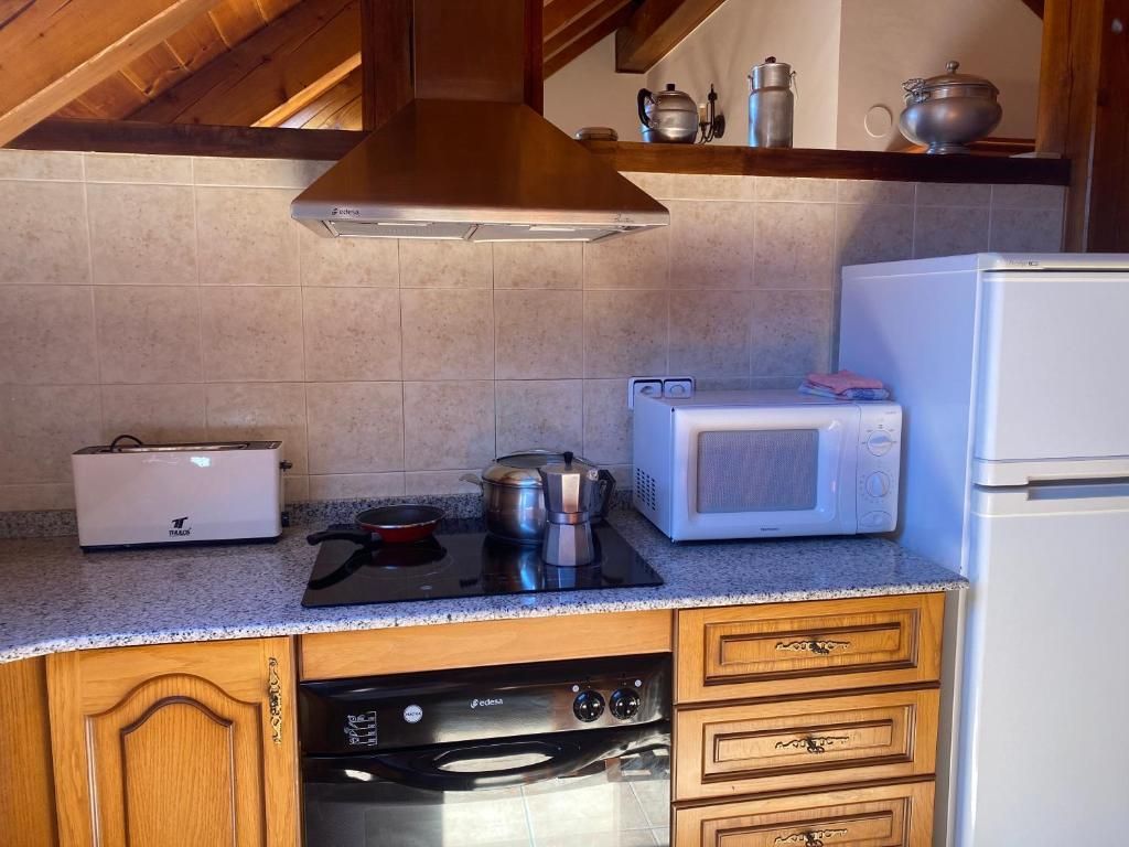 Cuina amb fogons, microones, torradora, armaris i campana extractora.