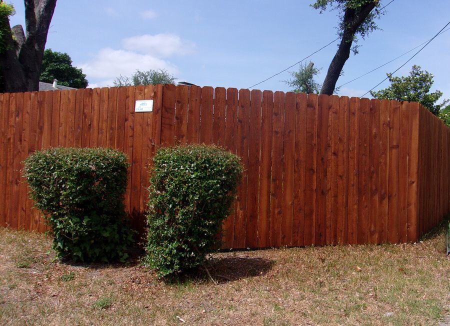 A wooden fence is surrounded by bushes and trees