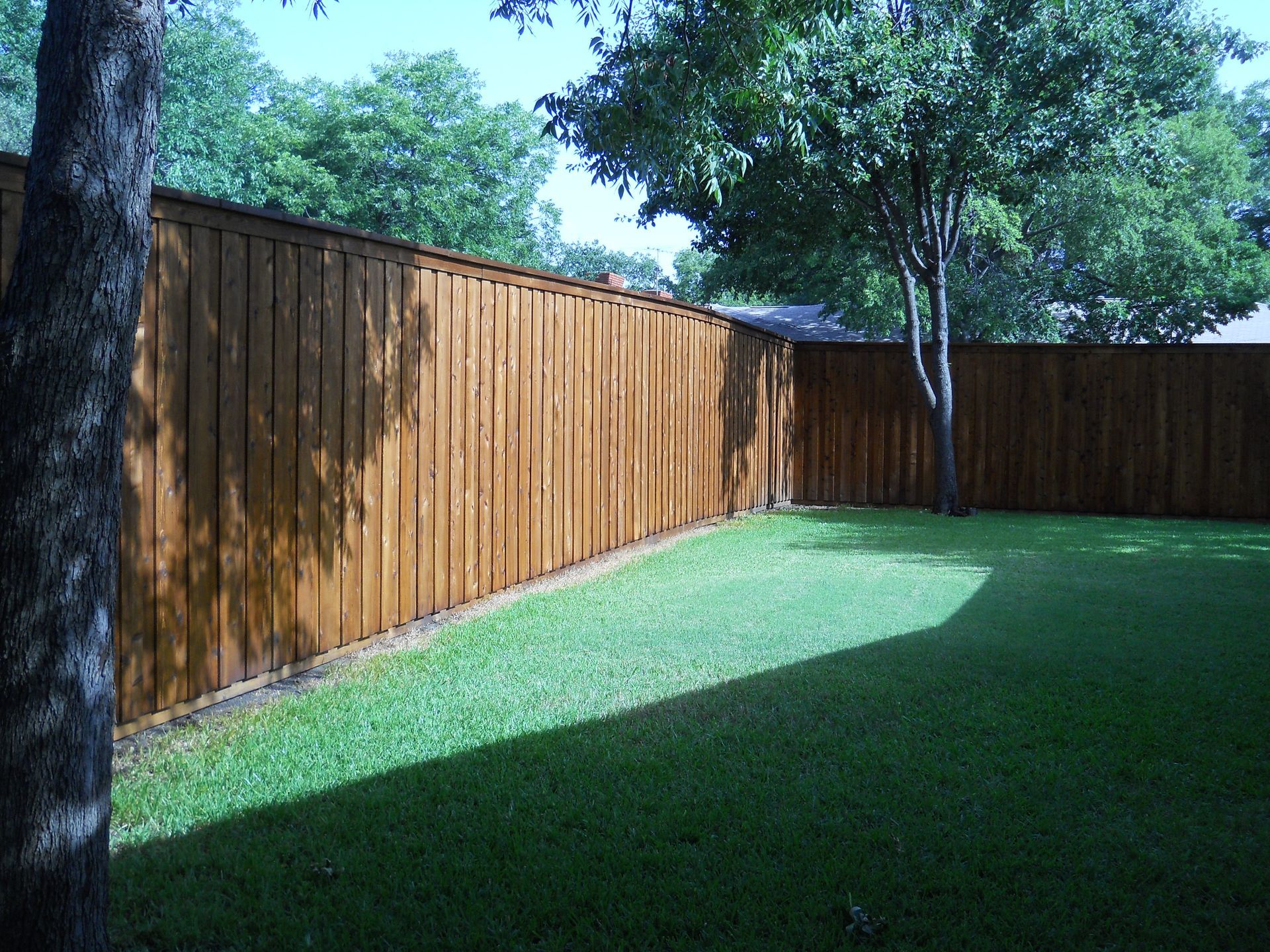 fence