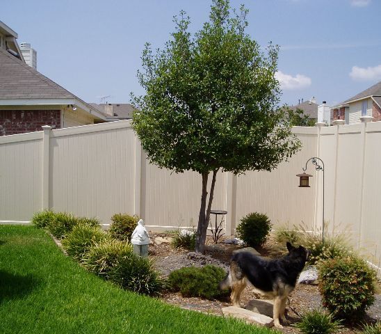 A dog standing in front of a white fence