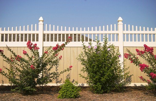 A white fence with flowers in front of it