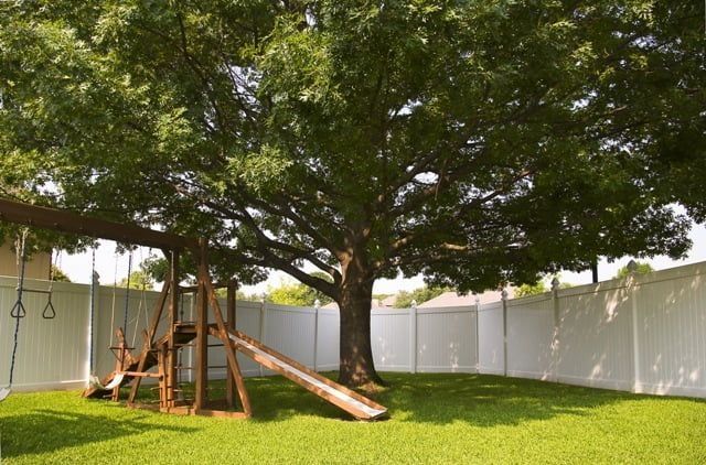 A backyard with a swing set and a slide under a tree