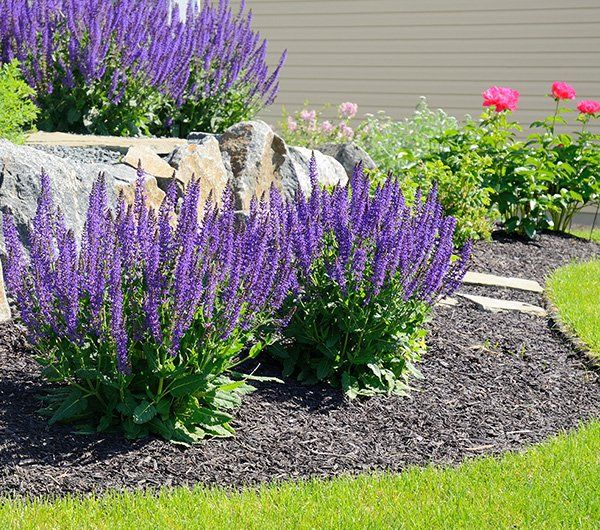 Flowers and Rock Retaining Wall — Highland Park, IL — Aurelio Landscaping Flowers and Rock Retaining Wall — Highland Park, IL — Aurelio Landscaping