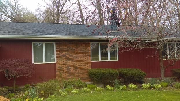 A red house with a black roof and a dog in front of it.