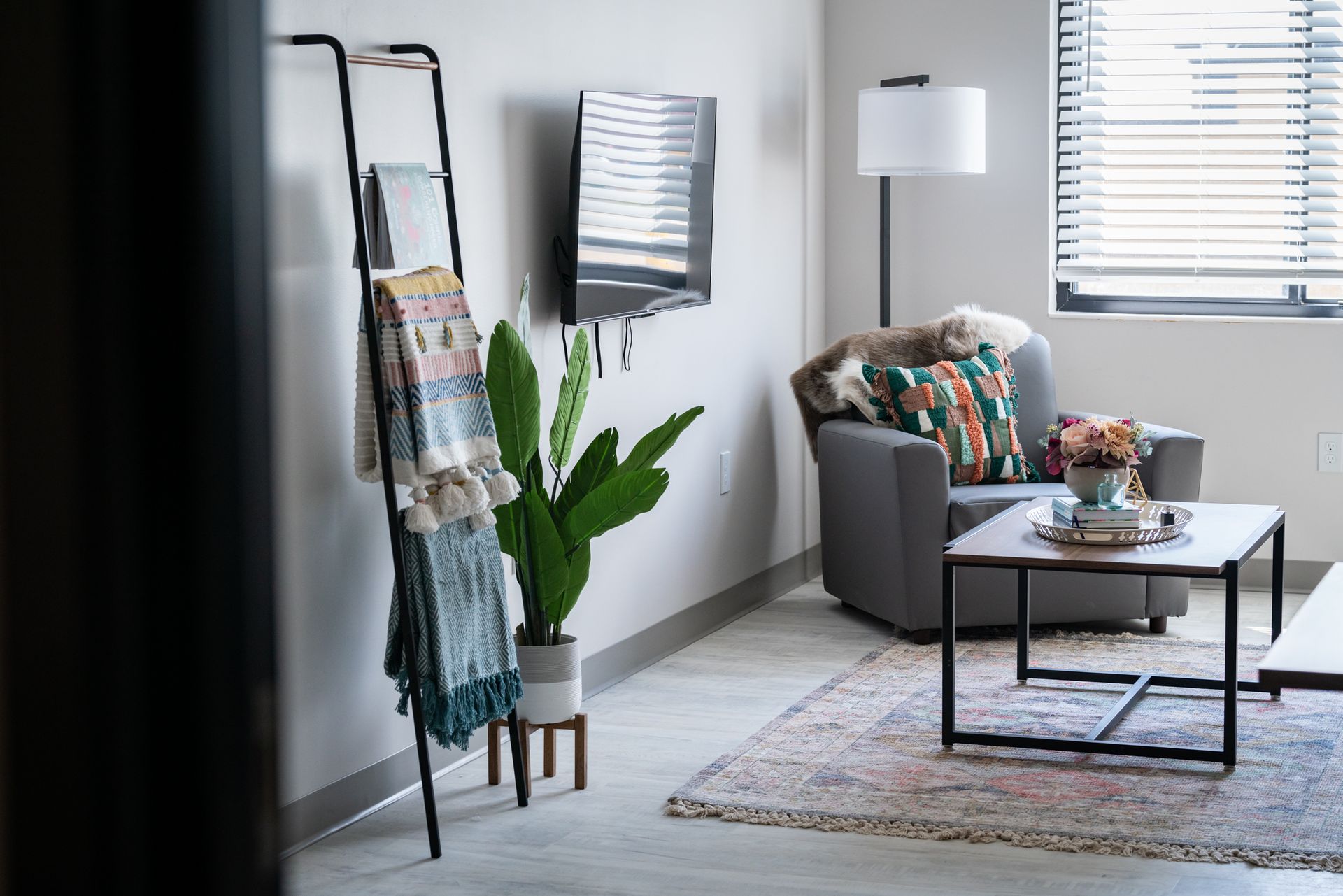 View of the living room in a 4 bedroom apartment at College Suites in Peosta, Iowa close to NICC's college campus