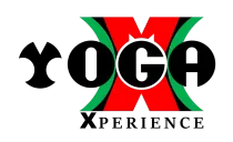 The Yoga Experience LLC