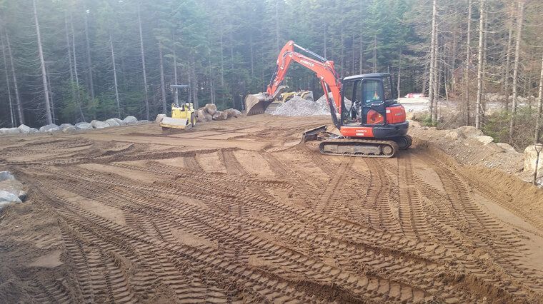 Une excavatrice creuse un champ de terre au milieu d'une forêt.