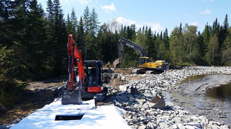 Deux excavatrices travaillent sur un rivage rocheux en forêt, sous un ciel ensoleillé.